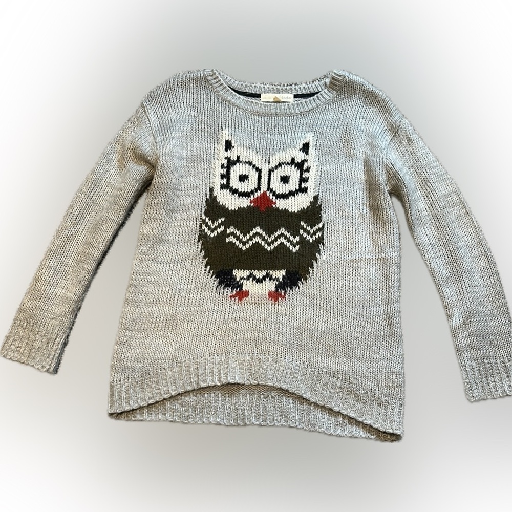 Gray Owl Sweater from Rewind